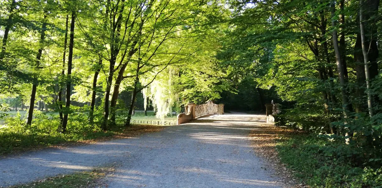 Waldweg Nymphenburg, grüne Bäume am Wegesrand