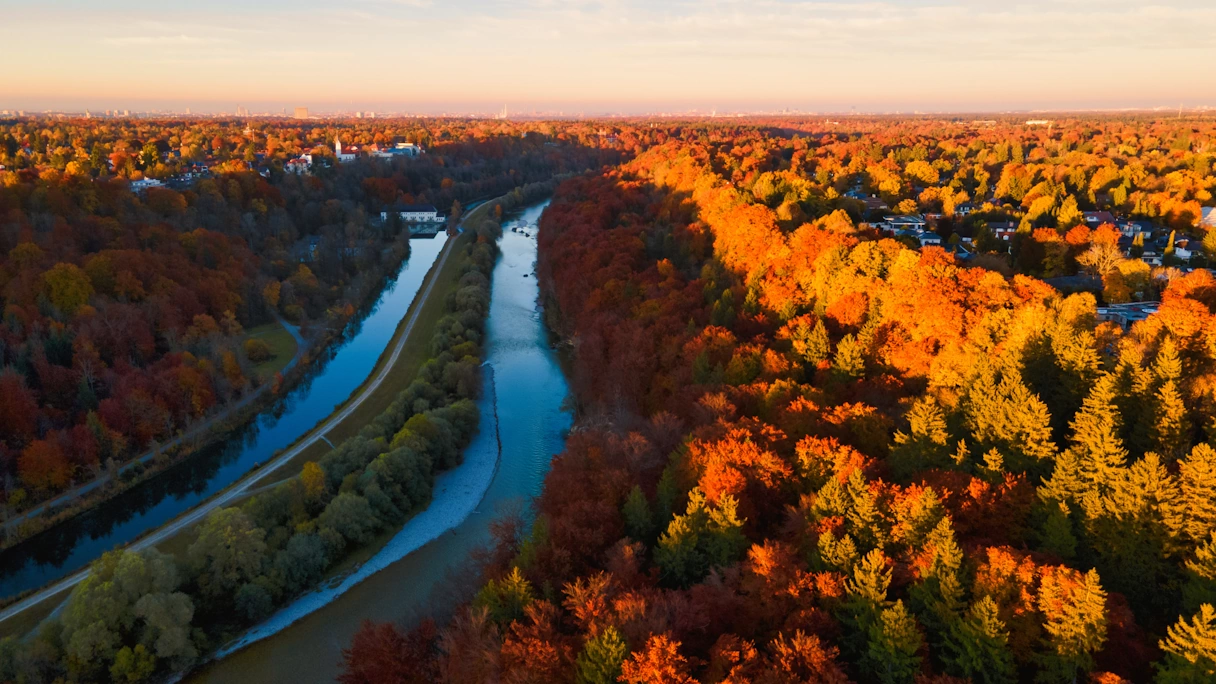 Isar Fluss im Herbst von oben fotografiert. Die Bäume sind bunt gefärbt