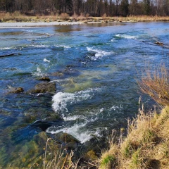 Blick auf die Isar