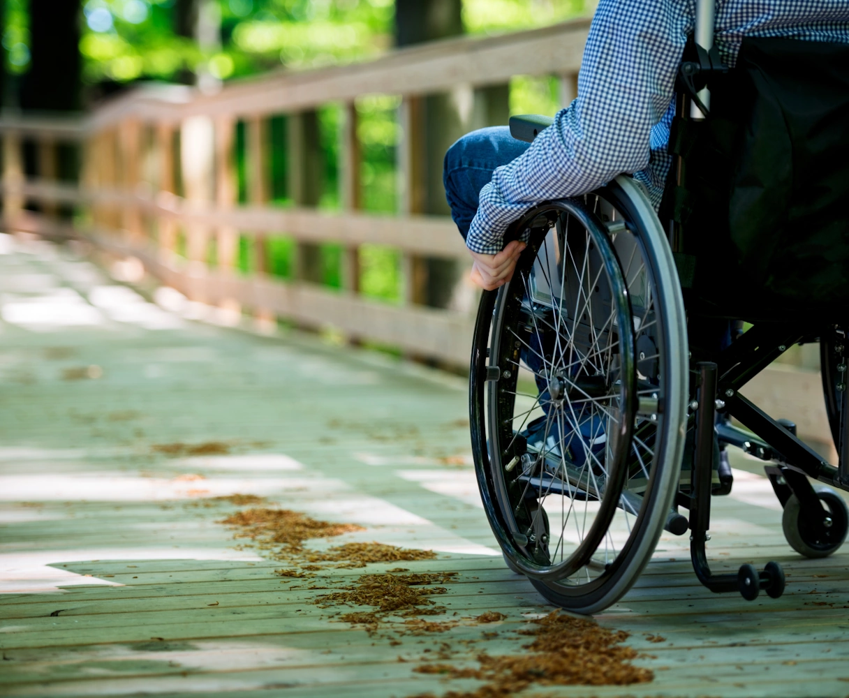 Wheelchair user crosses a bridge
