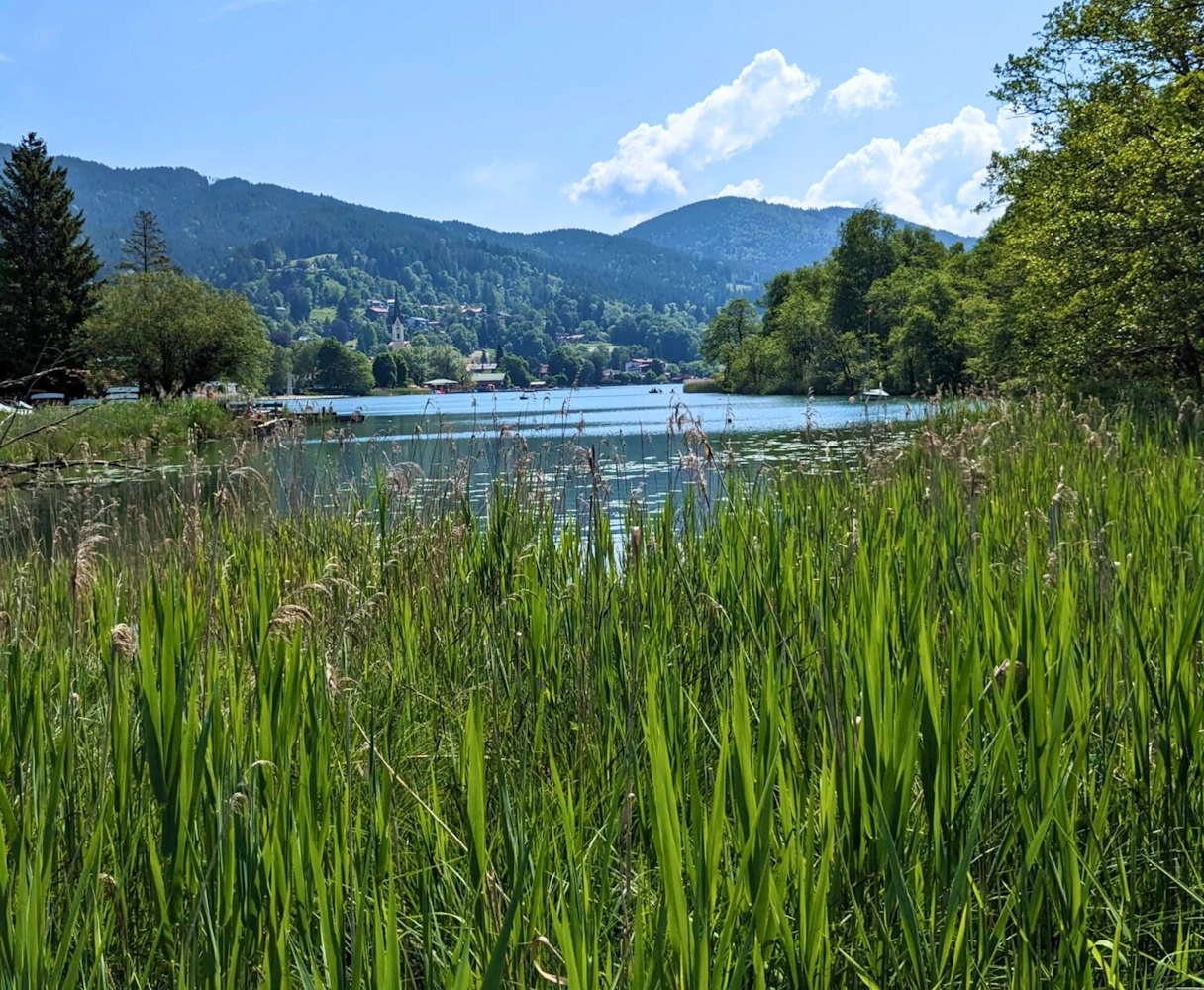 Lake Schliersee surrounded by plants and mountains