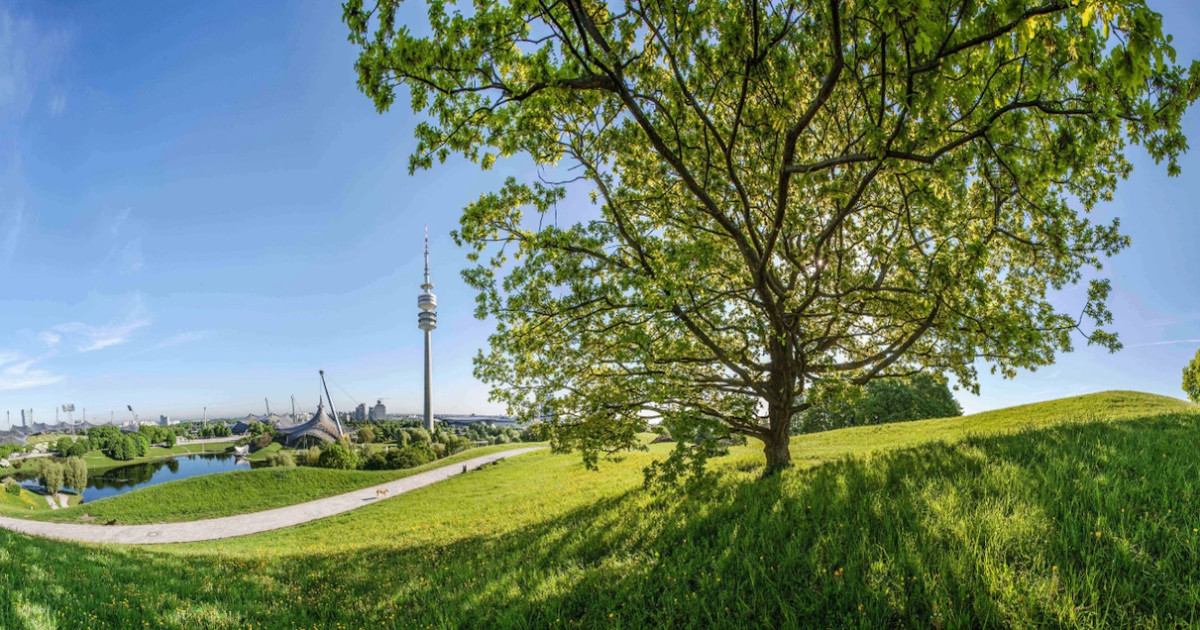CityTourCard München website preview