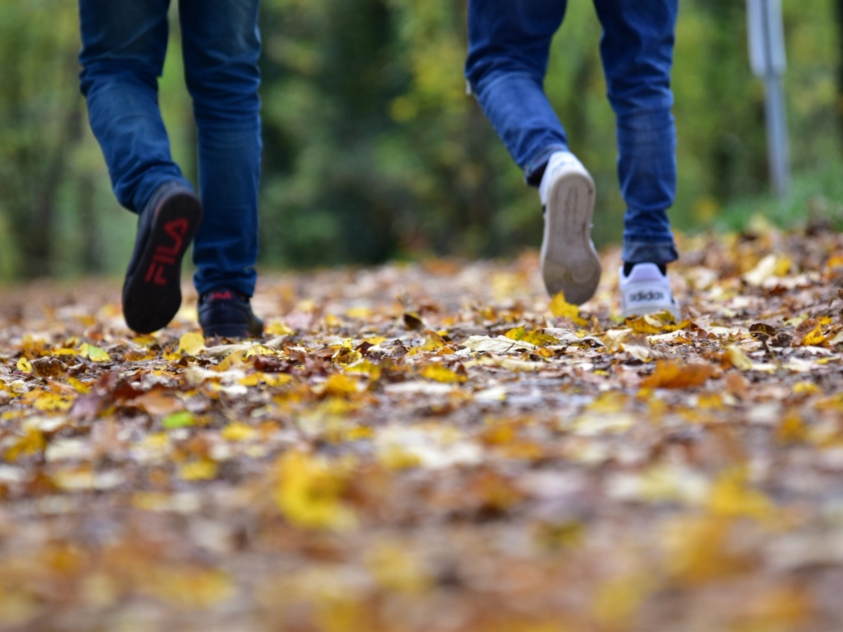 Zwei Menschen gehen in Wald spazieren. Man sieht nur ihre Beine. Der Boden ist mit Herbstlaub bedeckt