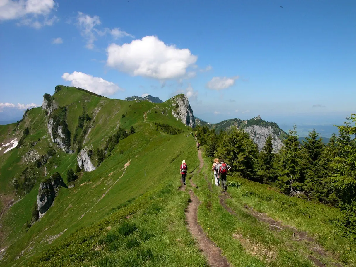 The high trail on the Brauneck mountain. 3 hikers walk along