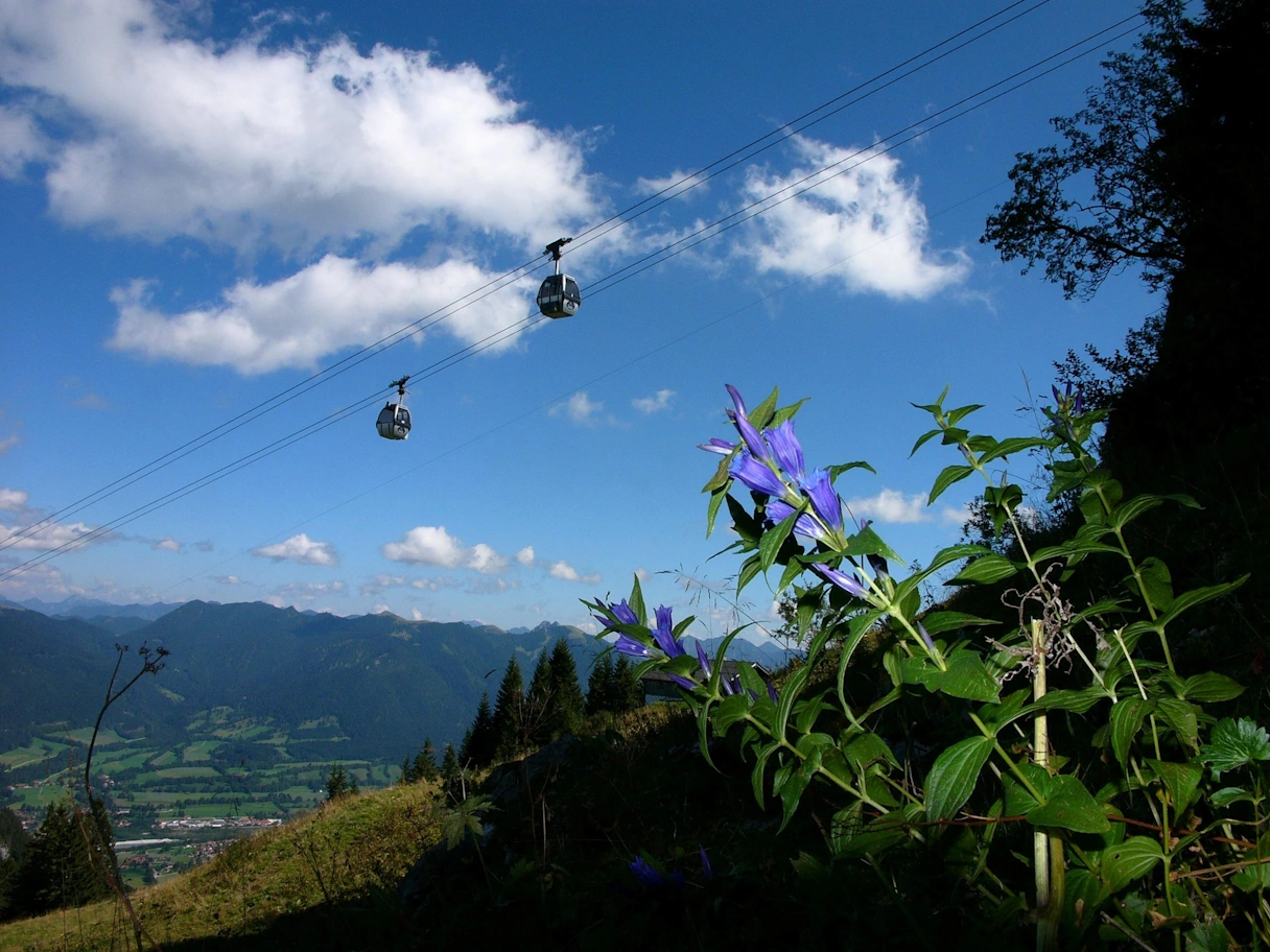 View of the Brauneck cable car