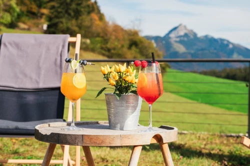 Small table outside, a garden chair next to it, two colorful drinks beautifully arranged in a wine glass on the table and a flower pot with yellow flowers. The mountains and green meadow can be seen in the background