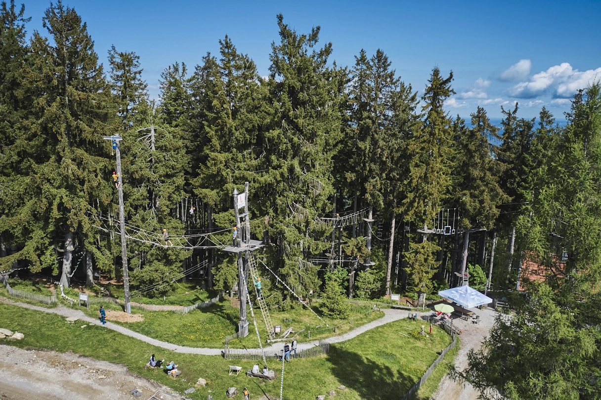 Aussicht auf die Kletterbereiche im Bloberger Kletterwald. Alles ist umgeben von hohen Tannen