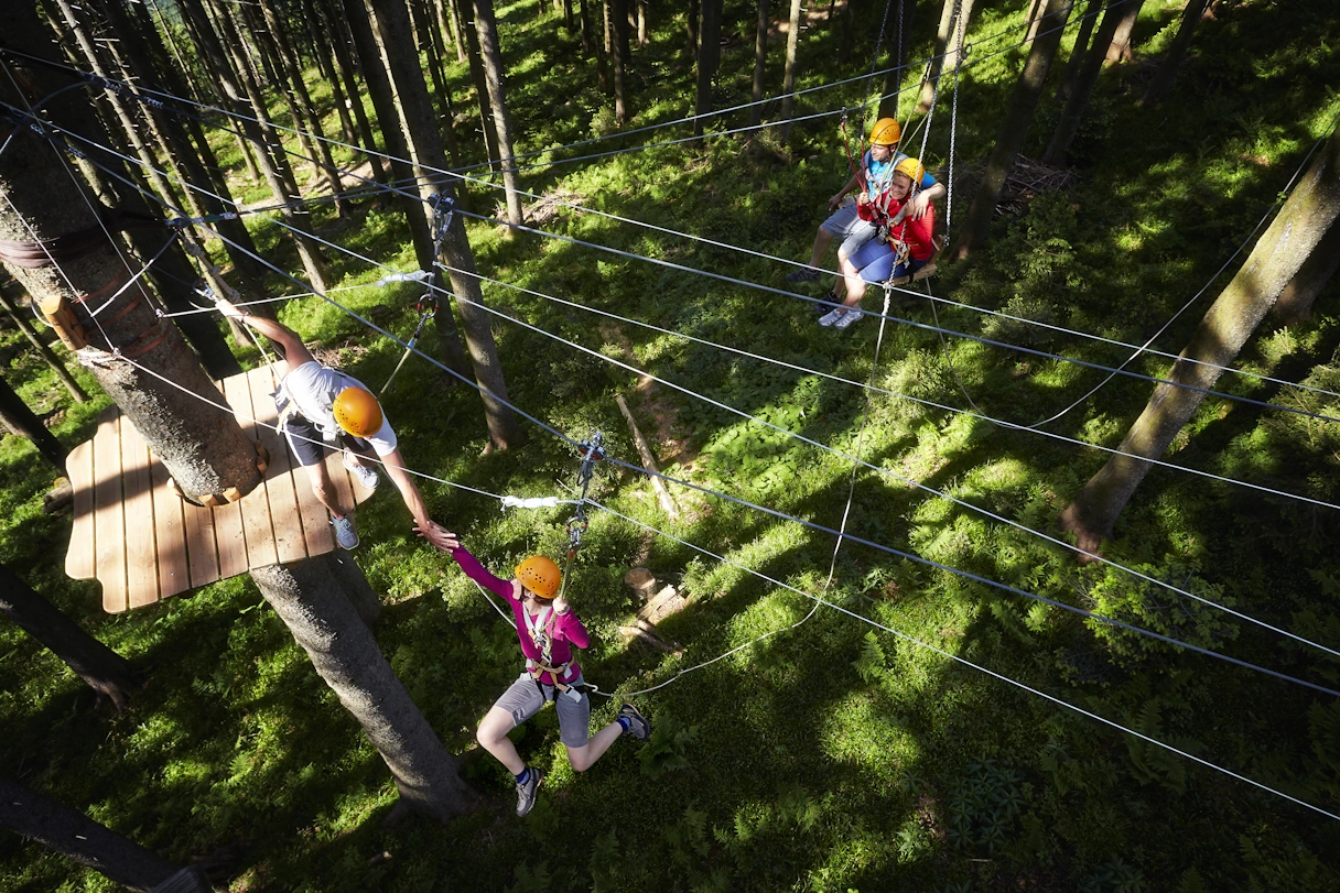 People attached to ropes in the climbing forest