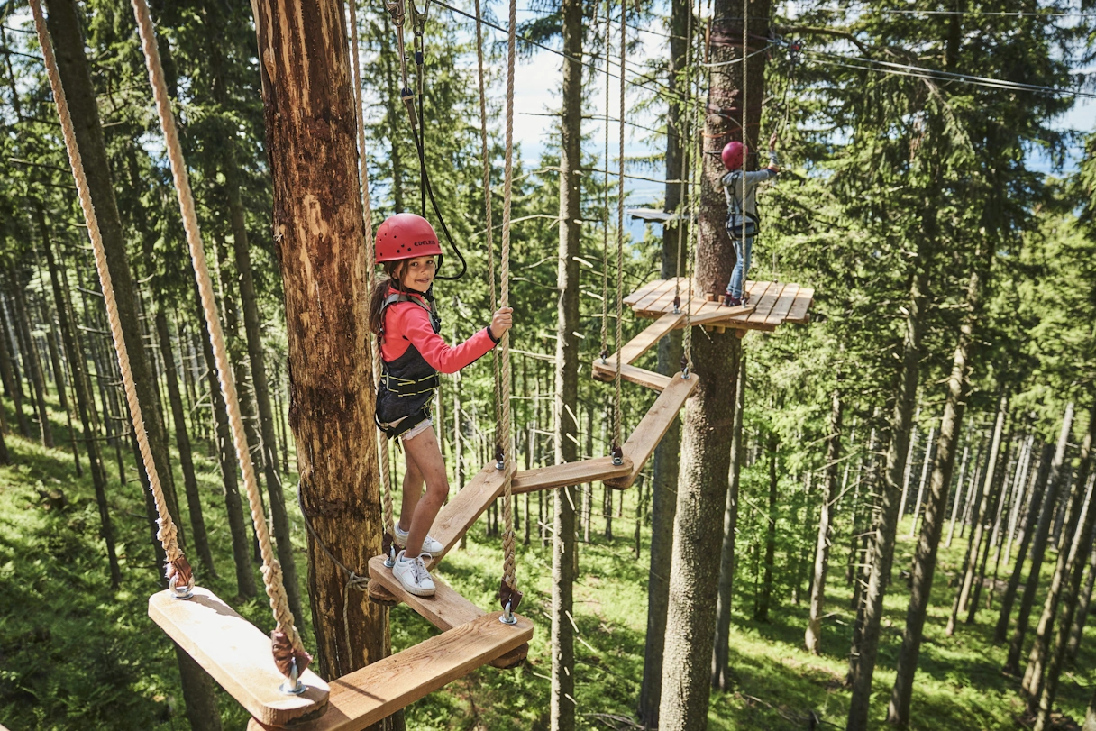 A young girl climbs high up between the trees over wooden planks