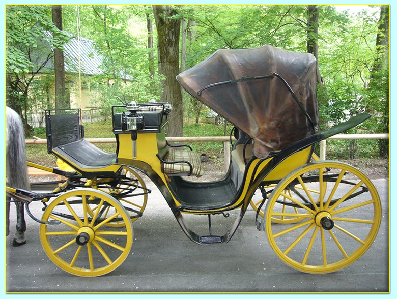 Yellow horse carriage without guests