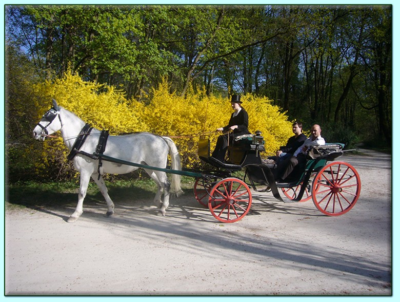 Red horse carriage with white horse and two guests