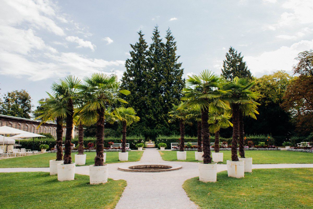 Schlosscafé im Palmenhaus, Kreis verschiedenen Palmen in weißen Kübeln, stehen an einer Wegekreuzung im Schlossgarten