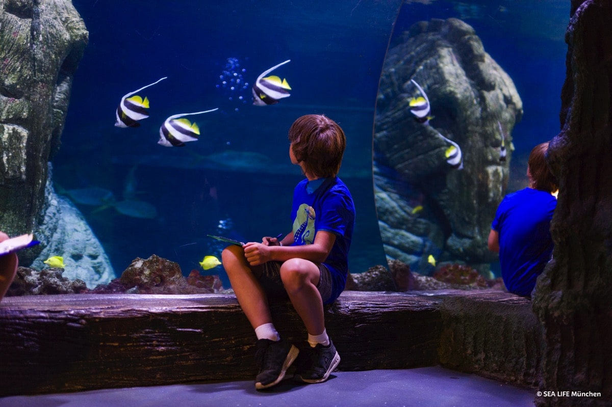 SEA LIFE Munich, boy sits on a bench in front of the aquarium and looks at the big fish swimming by