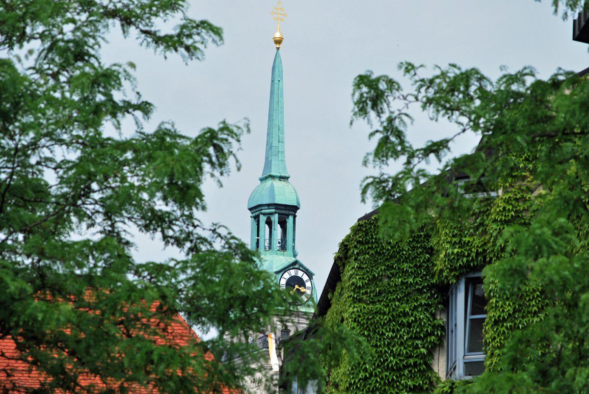 Blick durch Bäume zur Spitze des Alten Peter Kirchturms